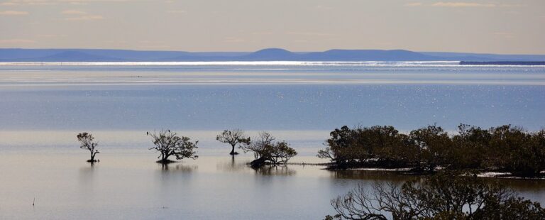 Spencer Gulf 768x310