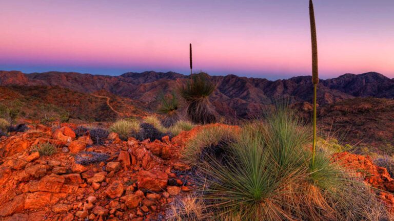 flinders ranges outback walk south australia 2560 768x432