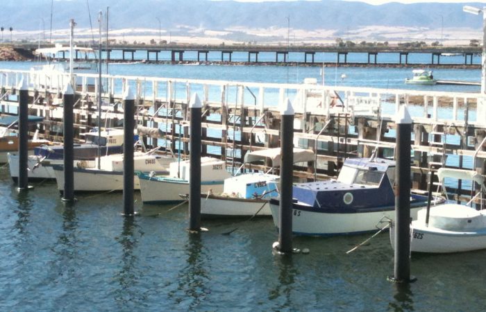 Fishing in and Around Port Pirie: A Guide for Recreational Anglers